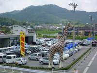 浜井自動車&nbsp;ＲＣＣ中古車展示場ＭＥＧＡ　西条店