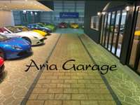 Ａｒｉａ　Ｇａｒａｇｅ&nbsp;