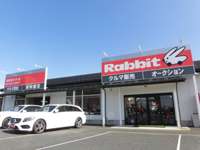 ラビット 新潟小新インター店 ラビット 新潟小新インター店