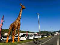 カーランドサファリ&nbsp;ＲＣＣ中古車展示場ＭＥＧＡ　西条店