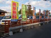 ｃａｒｃｉｓ　カーシス&nbsp;