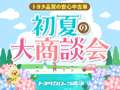 トヨタカローラ南海（株） 狭山プラザ