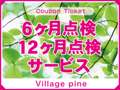 Ｖｉｌｌａｇｅ　ｐｉｎｅ