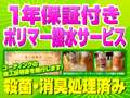 ｃａｒｓｈｏｐ　ｆａｎｆｕｎ